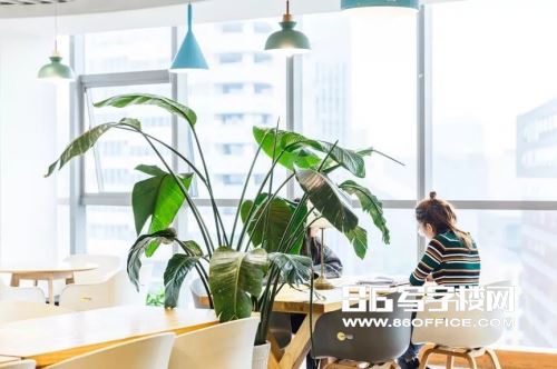 優客工場蘇州圓融大廈成立 提升樓宇間辦公效率(圖5)