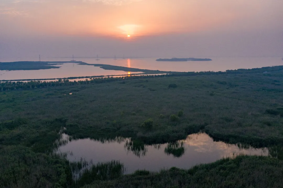 賀美格集團喬遷稻谷互聯網產業園(圖8)