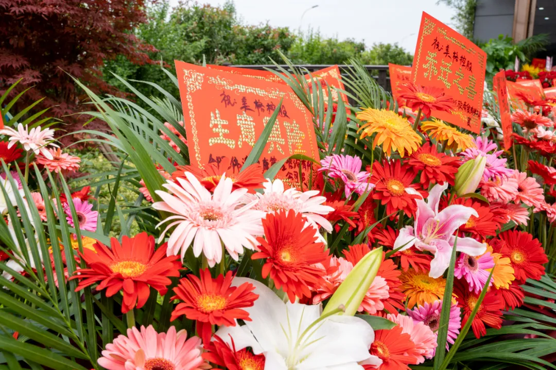 賀美格集團喬遷稻谷互聯網產業園(圖18)